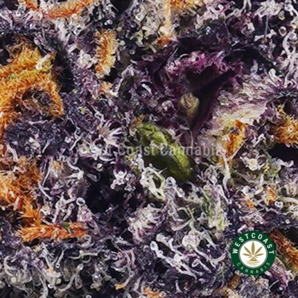 Buy Fucking Incredible AAAA+ Indica Dominant Hybrid Weed.