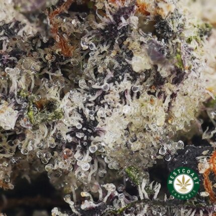 Buy Hawaiian Pink Punch AAAA+ - West Coast Cannabis