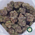 Buy Hawaiian Pink Punch AAAA+ - West Coast Cannabis