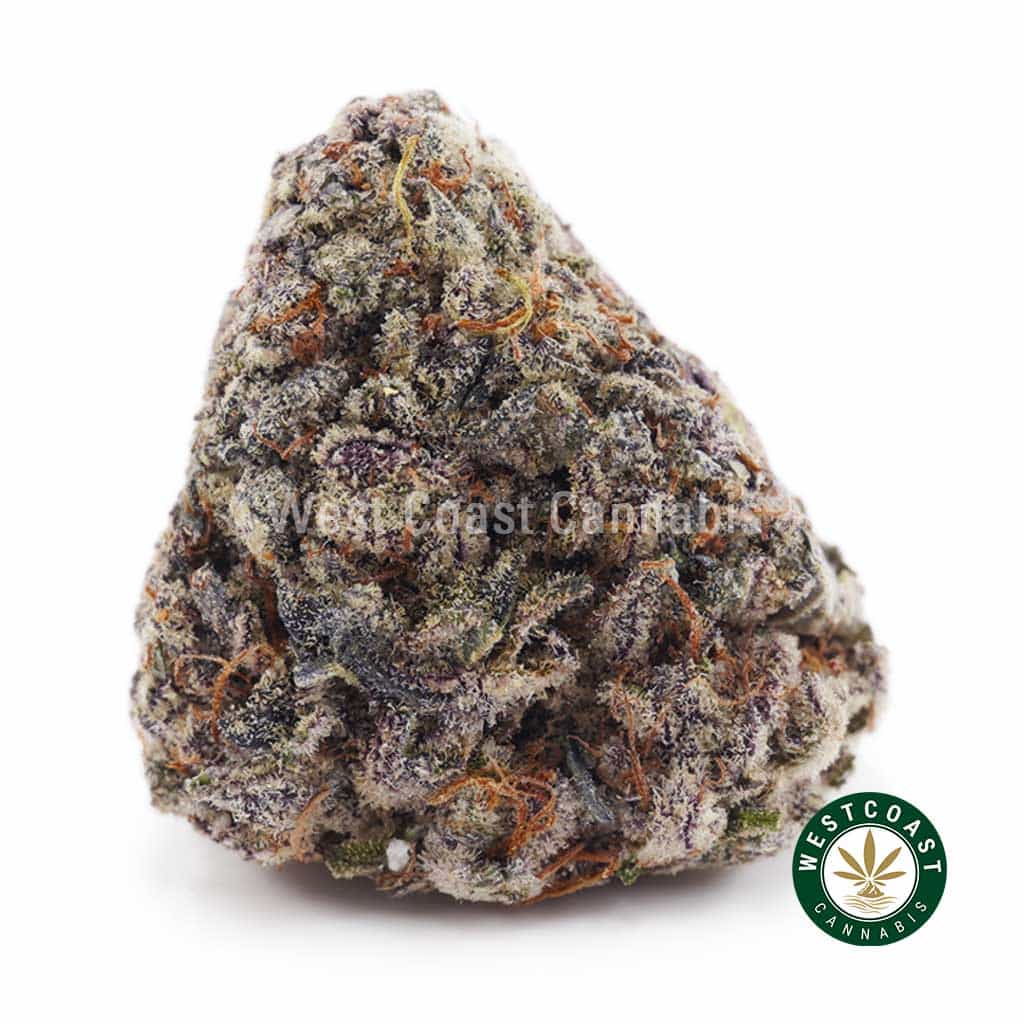 Buy Incredible Grape Ape AAAA+ - West Coast Cannabis Buy Incredible Grape Ape AAAA+ - West Coast Cannabis