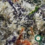Buy Laughing Buddha Strain Online - Best Laughing Buddha Weed
