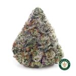 Buy Laughing Buddha Strain Online - Best Laughing Buddha Weed