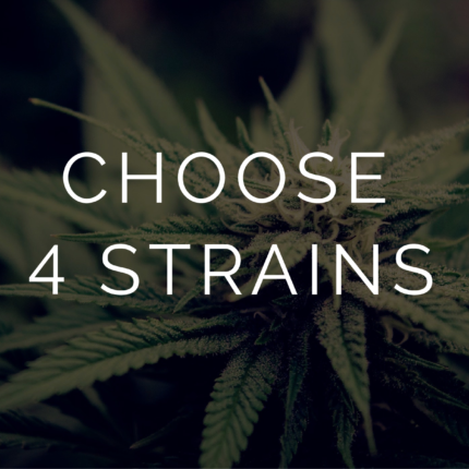Buy Multi Pack - Oz - 4 X 7g Online