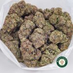 Buy OG Octane Strain - High Octane OG Kush Online