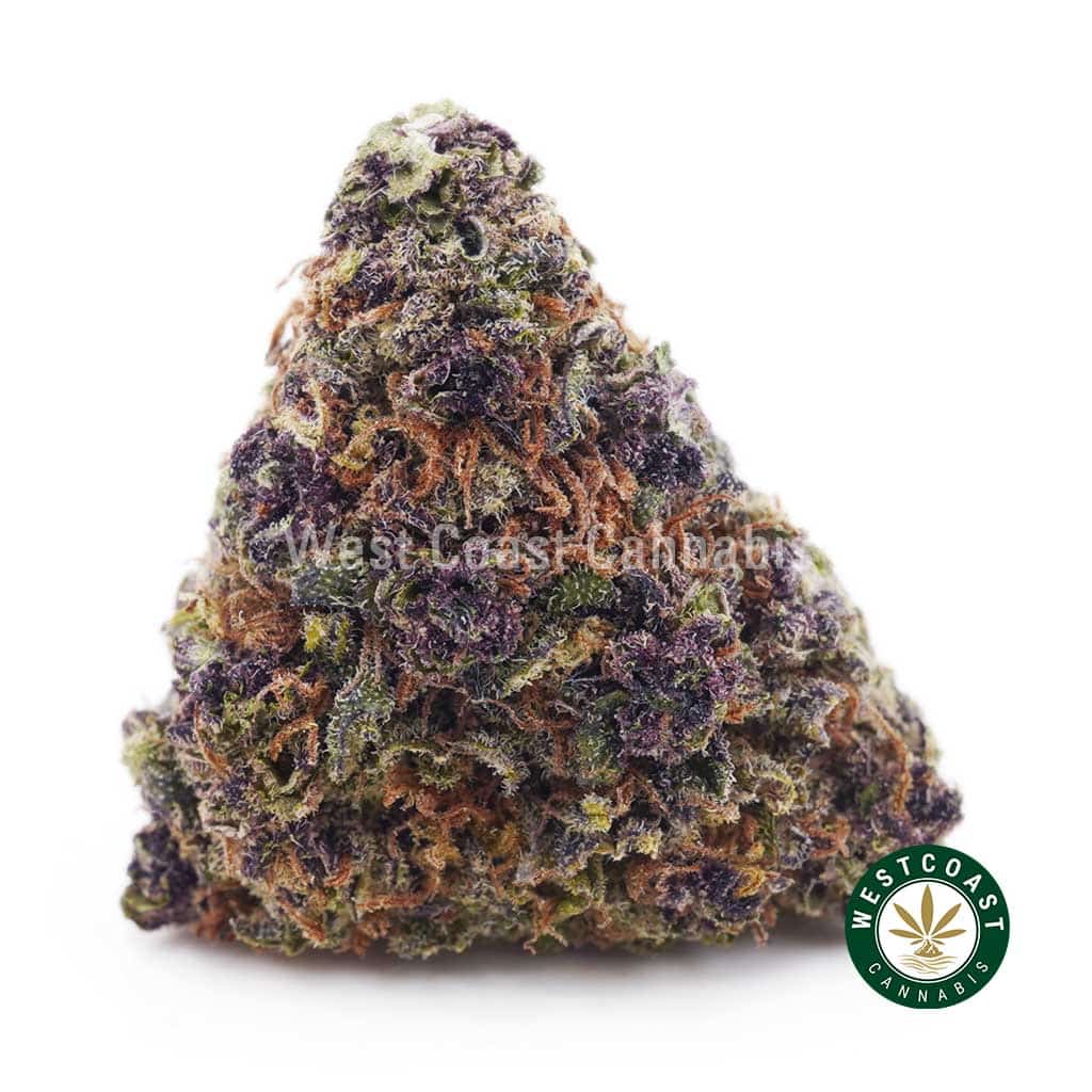 Buy Pineapple Express Strain Online - Pineapple Express AAA Buy Pineapple Express Strain Online - Pineapple Express AAA