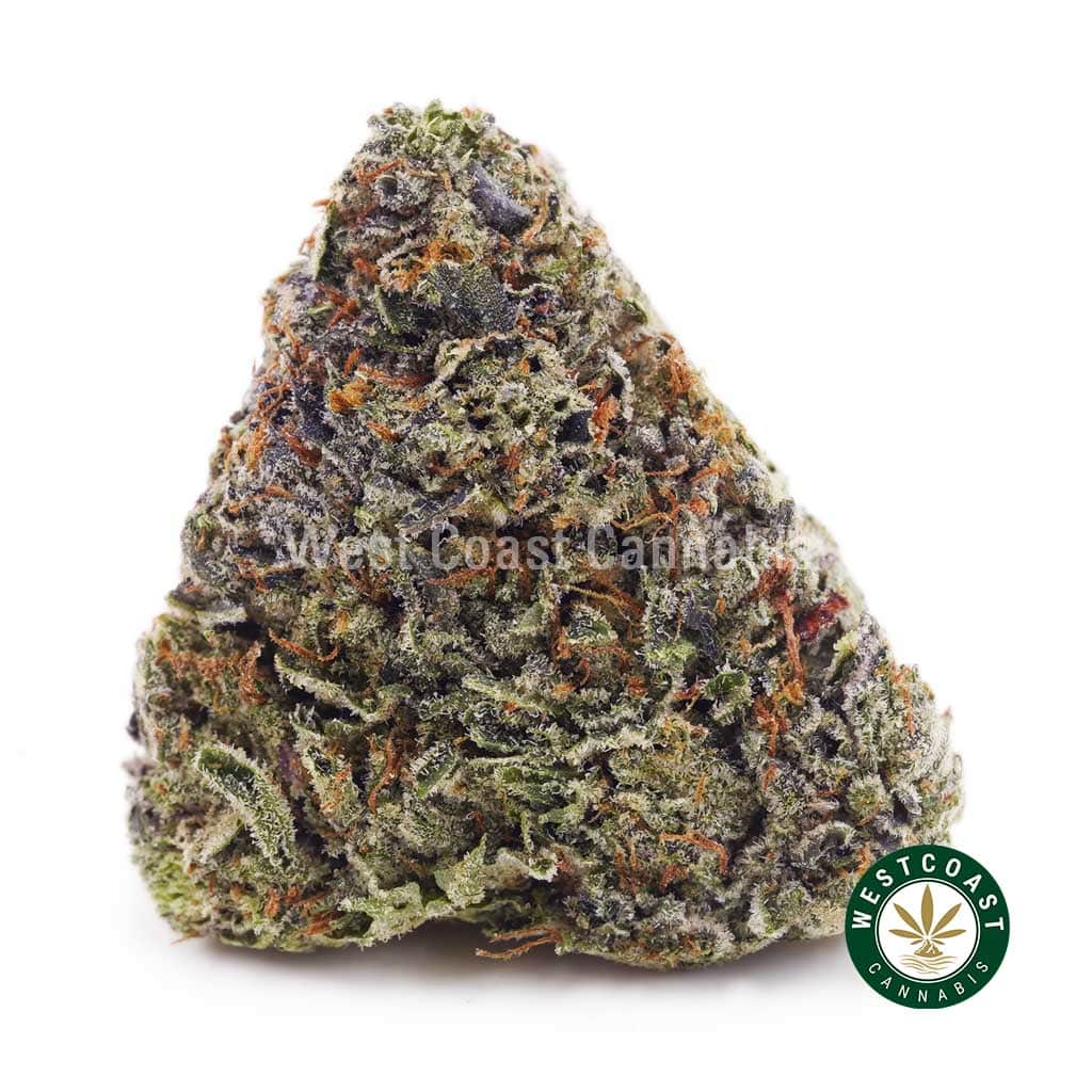 Buy Pink Bruce Banner AAAA+ - West Coast Cannabis Buy Pink Bruce Banner AAAA+ - West Coast Cannabis