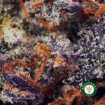 Buy Pink Rob Ford AAAA+ - West Coast Cannabis