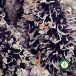 Buy Purple Freeze Strain - Best Purple Freeze AAAA+