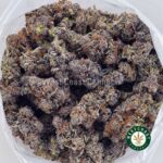 Buy Purple Freeze Strain - Best Purple Freeze AAAA+
