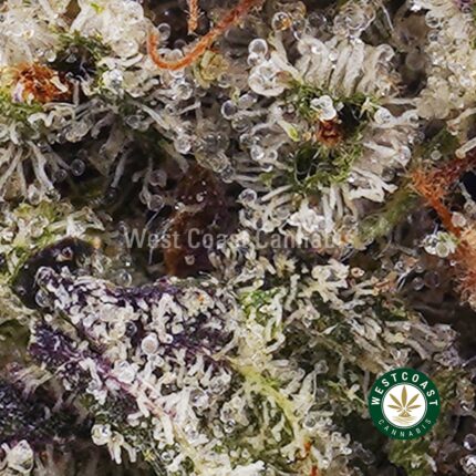 Buy Supreme Death Bubba AAAA+ Strain - West Coast Cannabis