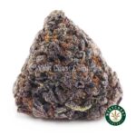 Buy Z Plitter Strain Online - Best Z Plitter Weed Strain