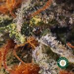 Cali Bubba AAA - West Coast Cannabis
