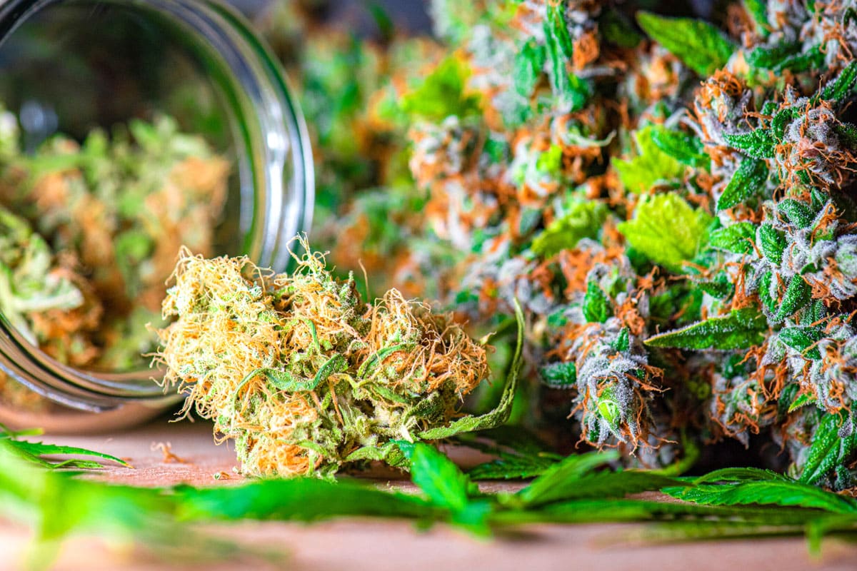 Buy Weed Online Ottawa