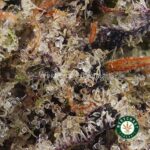 Candy Land AAA - West Coast Cannabis