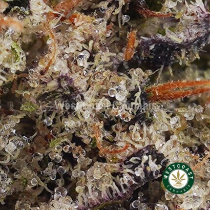Candy Land AAA - West Coast Cannabis