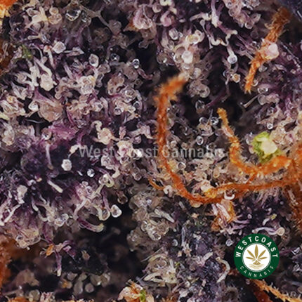 Candy Star AAAA (Popcorn Nugs) - West Coast Cannabis