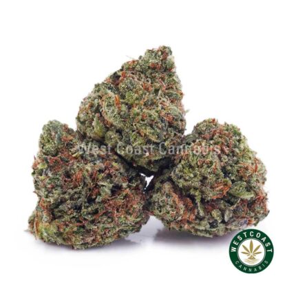 Chemdawg AAAA (Popcorn Nugs) - West Coast Cannabis