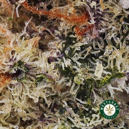 Cherry Pie AAA - West Coast Cannabis