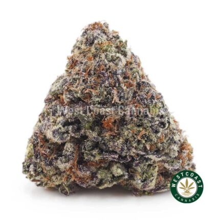 Chocolate Kush AAAA - West Coast Cannabis