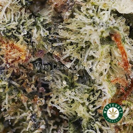 Cinderella 99 AA - West Coast Cannabis