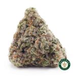 Cinderella 99 AA - West Coast Cannabis