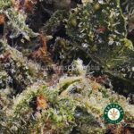 Columbian Gold AA - West Coast Cannabis