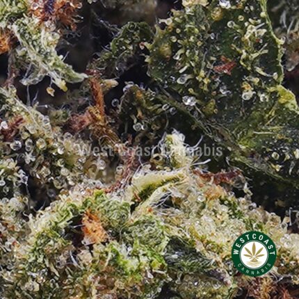 Columbian Gold AA - West Coast Cannabis