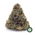 Columbian Gold AA - West Coast Cannabis