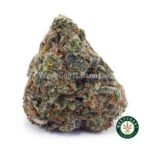 Cookies Kush AAA - West Coast Cannabis