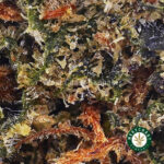 Corleone Kush AAAA (Popcorn Nugs) - West Coast Cannabis