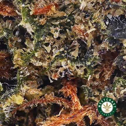 Corleone Kush AAAA (Popcorn Nugs) - West Coast Cannabis