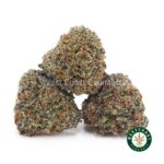 Corleone Kush AAAA (Popcorn Nugs) - West Coast Cannabis