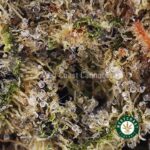 Dosi Cake AAA - West Coast Cannabis