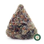 El Chapo AAAA - West Coast Cannabis
