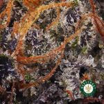 El Jefe AAA - West Coast Cannabis
