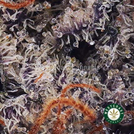 El Padrino AAA - West Coast Cannabis