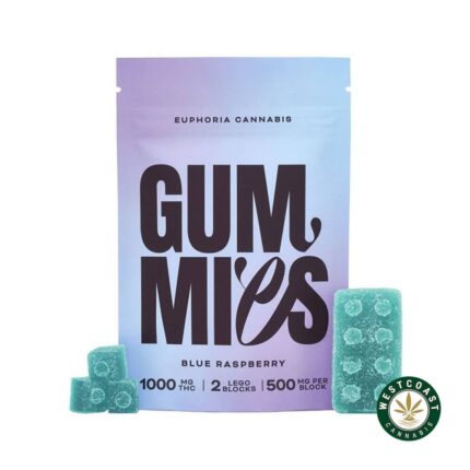 Euphoria Cannabis - Blue Raspberry Gummies 1000mg THC - West Coast Cannabis