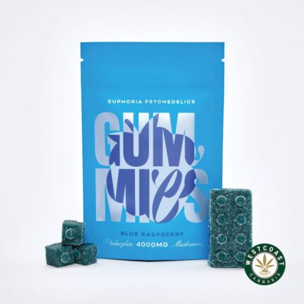 Euphoria Psychedelics – Blue Raspberry 4000mg - West Coast Cannabis
