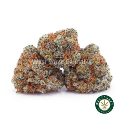 Forum Cut Cookies AAAA (Popcorn Nugs) - West Coast Cannabis