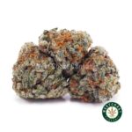 Fresh Water Biscotti AAAA (Popcorn Nugs) - West Coast Cannabis