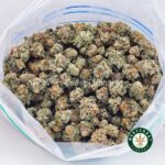 Fresh Water Biscotti AAAA (Popcorn Nugs) - West Coast Cannabis