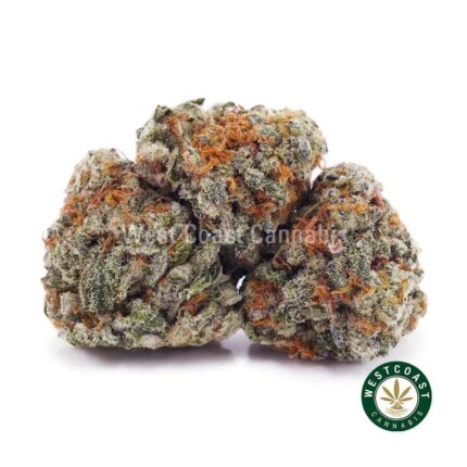 Fresh Water Biscotti AAAA (Popcorn Nugs) - West Coast Cannabis