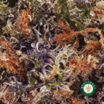 Frosted Fruit Cake AAAA - West Coast Cannabis