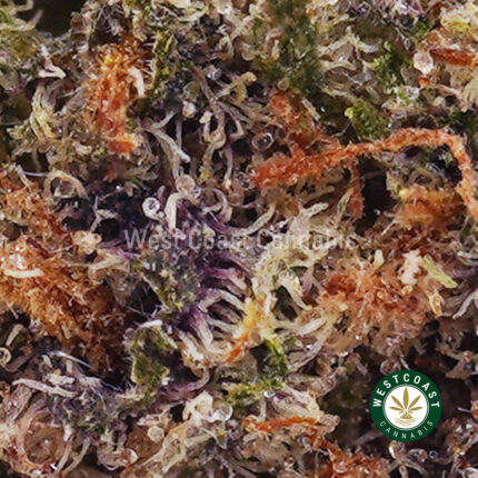 Frosted Fruit Cake AAAA - West Coast Cannabis