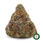 Frosted Fruit Cake AAAA - West Coast Cannabis