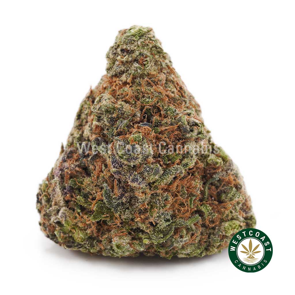 Frosted Fruit Cake AAAA - West Coast Cannabis Frosted Fruit Cake AAAA - West Coast Cannabis