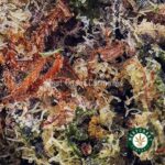 Frosted Gumbo Kush AAAA - West Coast Cannabis