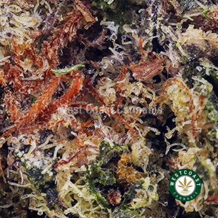 Frosted Gumbo Kush AAAA - West Coast Cannabis