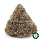 Frosted Gumbo Kush AAAA - West Coast Cannabis