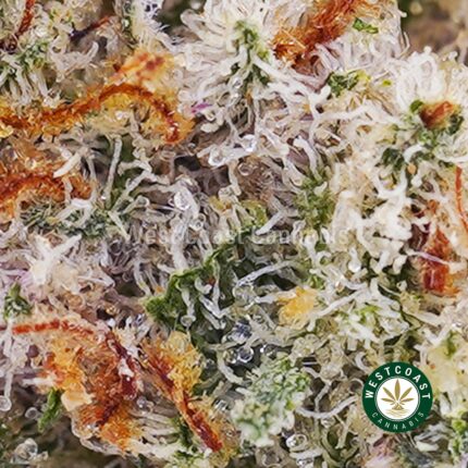 Fruit Loopz AAAA (Popcorn Nugs) - West Coast Cannabis